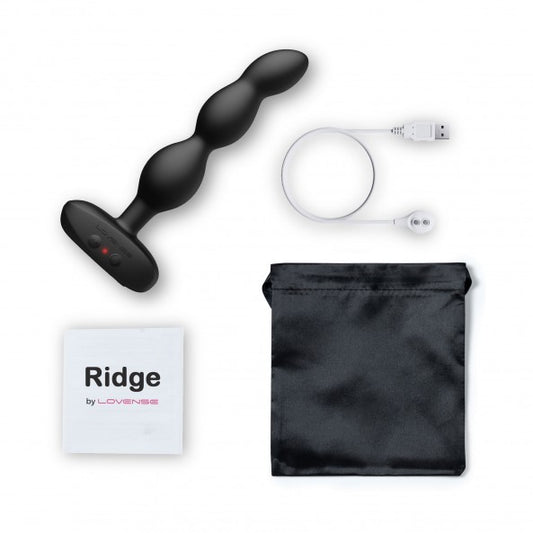 Plug Anal Long Vibrant et Rotatif Ridge