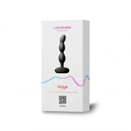 Plug Anal Long Vibrant et Rotatif Ridge